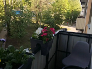 Квартира В Центре Города