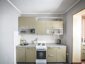 Квартира 1 комнатная по улице Емельянова 37