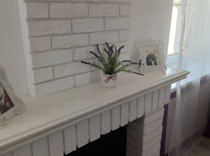 Апартаменты Лаванда на площади Ленина. Ленин в восторге!