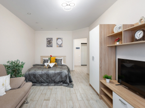 Odnokomnatnie V Tsentre Samary Apartments