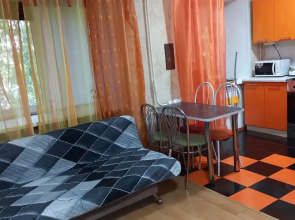 V tsentre goroda Flat