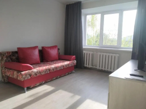 Centr na prospekte Avvtozavodtsev 54 Flat