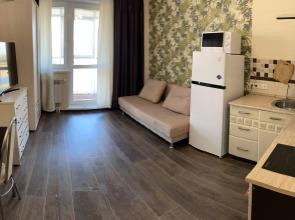 Квартира Уютная студия Дружба 4/2