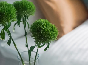 Апартаменты Pavlov C на набережной