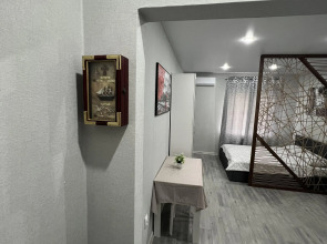 Студия 22 кв.м на Видова