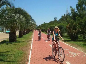Отель Blue Star Batumi