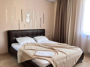 Апартаменты Двушка на Орджоникидзе