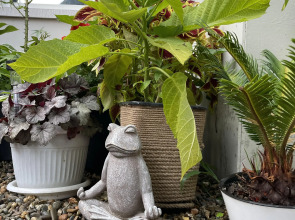 Гостевой дом Casa de la Luz