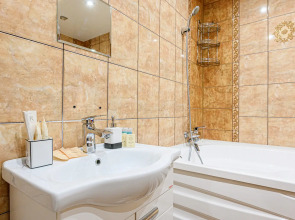 Апартаменты Stepanenkov Большевистская 118