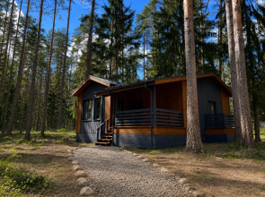 Recreation camp Tikhiy Les