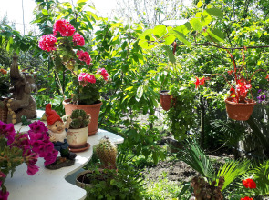 Гостевой дом Райский уголок