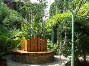 Гостевой дом Триера