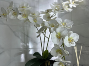 Квартира в Кисловодске по ул.Катыхина