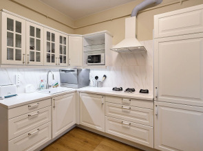 Апартаменты с видом на Неву в центре города