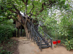 Pugdundee Safaris - Tree House Hideway Lodging House