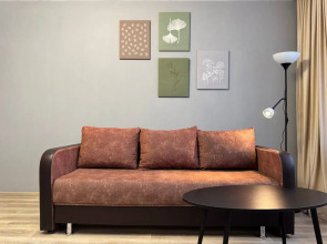 Апартаменты Просторные апартаменты  Vetka Home на Красном проспекте