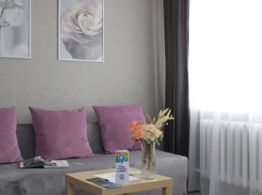 Апартаменты ВыДома на Энергетиков у Областной Больницы