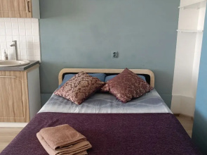 Apartamenty Avrora  cetyrehmestnye (id 122k1)