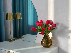 Апартаменты Двухкомнатные Luxe в Пензе