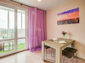 Квартира на улице 45-й Стрелковой Дивизии 259/1