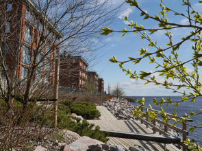 Квартира на берегу Финского залива