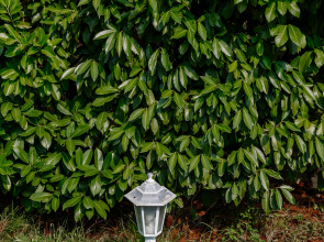 Гостевой дом Отрада