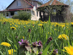 Veliya Guest House