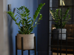 Апартаменты Jail-apart