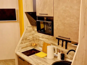 Квартира в центре на Пискунова