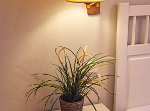 Апартаменты Светогор