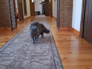 Гостевой дом Дом Ершова