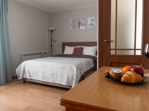 Апартаменты Уютные у метро Ленинский проспект