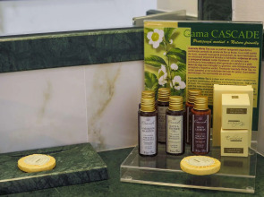 Отель International Iasi