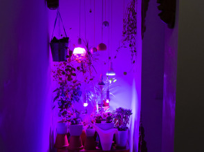 Гостевой дом Замок