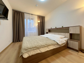 V Poselke Pesochny U Tsentra Imeni Petrova Flat
