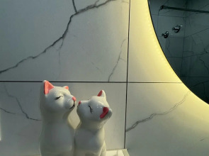 Апартаменты на Римской 5