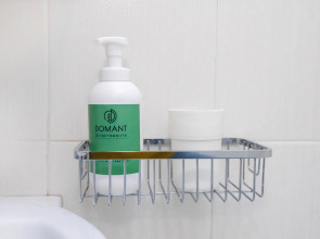 Апартаменты Домант Романова 60/1 (1)