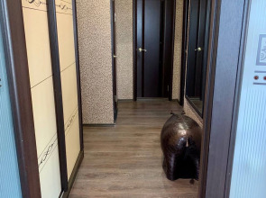 Апартаменты Lux Kam