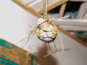 Гостевой дом Ближние дубки