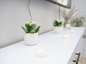 Апартаменты напротив Тринити lxt.by