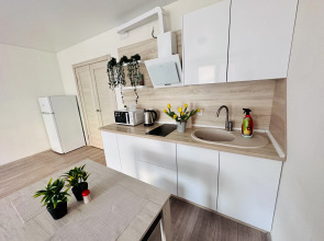 Апартаменты Стильная студия рядом с источниками.