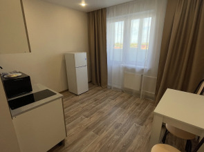 Апартаменты 1-комнатная квартира у Фермер Базара