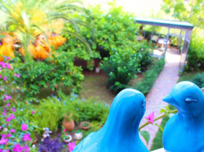 Мини-Отель Papirus Hotel Adrasan