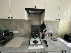 Квартира с замиакулькасами