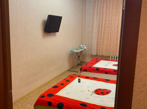 Апартаменты Зинина Возле УРАМ и Набережной