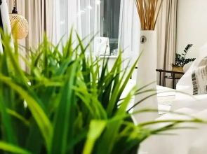 Style Studio Apartments