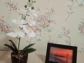 Квартира Однокомнатная на Проспекте Ленина 50