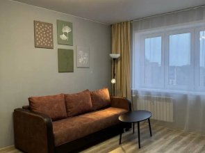 Апартаменты Просторные апартаменты  Vetka Home на Красном проспекте