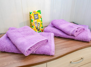 Апартаменты Сладких Снов на Толмачёва 17