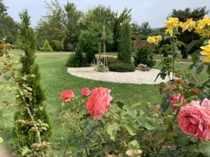 Апартаменты ЖК Green Park 5